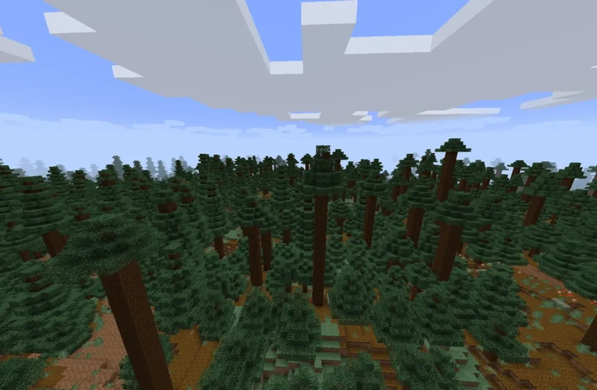 Un bioma taiga di pini secolari in Minecraft