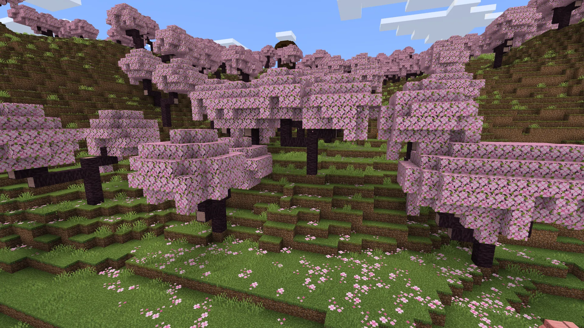 Collina Ciliegi in Minecraft Collina Ciliegi in Minecraft